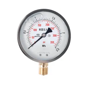 Pressure Gauge Threaded Connection Oil-filled Shock-resistant Pressure Gauge Y100 Air Pressure Oil Pressure Hydraulic Water Pressure Gauge Manufacturer thumbnail-3