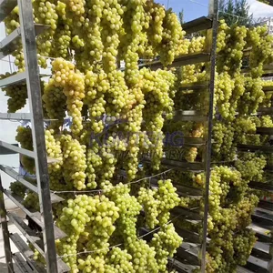 Fruit and Vegetable Drying Processing Machine Grape Raisin Drying Machine Mango Dryer Machine thumbnail-4