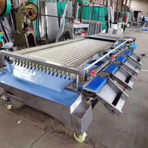 Avocado Fruit Sorting Grading Machine Sorter Grader Machine Line Classifying Machines thumbnail-1