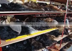 Qingdao Arison Hair Product Co., Ltd. company overview - view 2 thumbnail