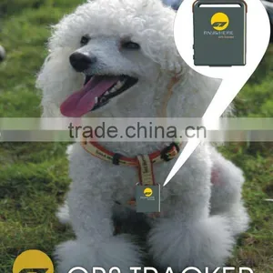 Shenzhen Personal ODM Shoes GPS Tracker and Positioning thumbnail-1