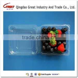 Regular Plastic Small Square Fruit Bluebrries Container thumbnail-3