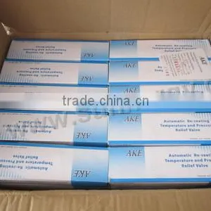 Sample Provide Pressure Relief P/T Security Valve thumbnail-6