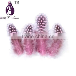 Wholesale Cheap Guinea Fowl Feathers,Dyed Guinea Hen Plumage Feathers thumbnail-1