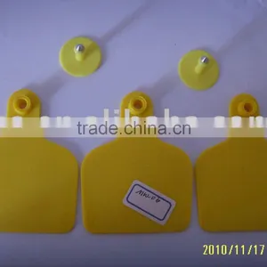 Ear Tag thumbnail-1