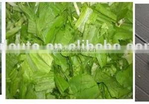 Industrial Vegetable Cutting Machine/fruit and Vegetable Cuting Machine/cutting Machine for Vegetable thumbnail-6