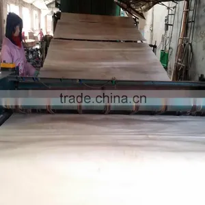 Rengas Veneer thumbnail-4
