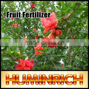 Huminrich Shenyang Water Soluble SY1001 Organic Fertilizer Extracted From Algae thumbnail-1