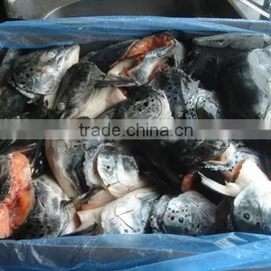 ATLANTIC SALMON HEADS thumbnail-1