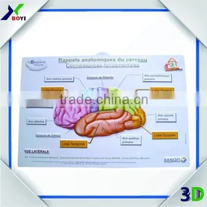 Medical Poster 3D Brain Anatomical Chart/ 3D Embossed Medical Poster thumbnail-1