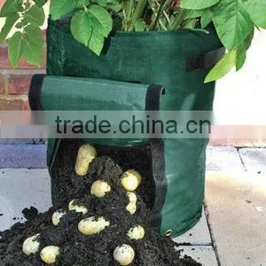 Grow Bag, Potato Grow Bag, Strawberry Grow Bag. thumbnail-1