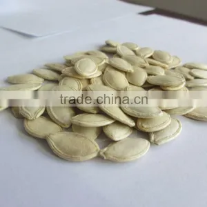 2016 New Crop Snow White Pumpkin Seeds Market Price thumbnail-2