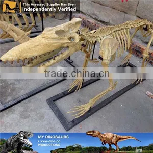 MY Dino-A12 Museum Quality Artificial Prehistoric Animal Fossil Replica thumbnail-5