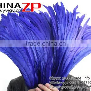 Leading Supplier CHINAZP Wholesale Colored Royal Blue Chicken Fully Dyed Roosters Feathers for Show thumbnail-3