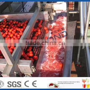Tomato Paste Machine thumbnail-4