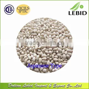 Heilongjiang Origin Japanese Type White Kidney Beans Low Price thumbnail-1