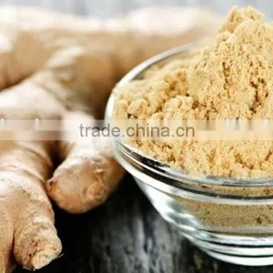 Zingiber Officinale Ginger Powder thumbnail-1