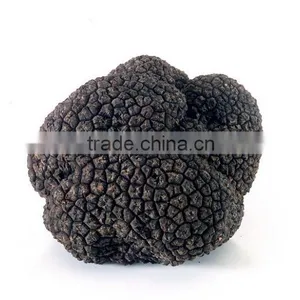 Truffle/Truffe thumbnail-1