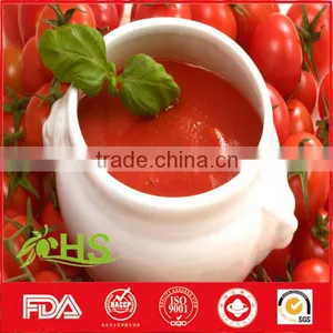 Canned Tomato Paste of Good Quality thumbnail-1