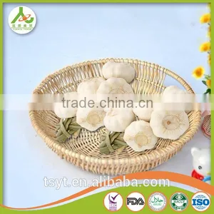 Fresh Style White Garlic From Cold Storage thumbnail-5