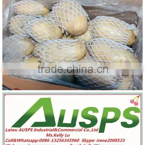 China Yellow Fresh Potato Price thumbnail-1