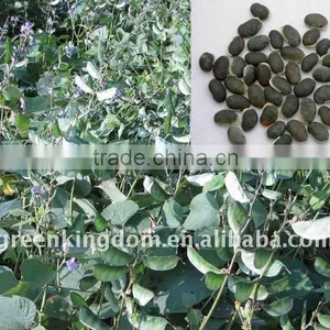 Tender Tasted for Livestock Lablab Bean Seeds thumbnail-1