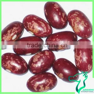 Red Speckled Kidney Bean Origin Of China thumbnail-2