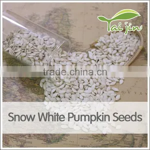 Cheap Price Snow White Pumpkin Seed Export thumbnail-2