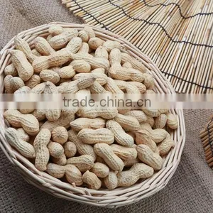 Peanut in Shell (Large Size) thumbnail-1