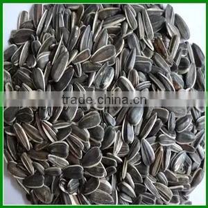 Sale Bulk Best Quality and Cheap Sunflower Seeds For Pet Food thumbnail-1