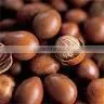 Sell: Shea Nut thumbnail-1