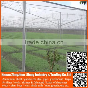 China Manufacture Hdpe With uv Greenhouse Insect Net , Plastic Agriculture pe Anti-insect Net , Nylon Insect Net With Low Price thumbnail-2