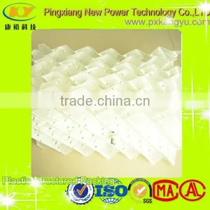 Plastic Structured Tower Packing thumbnail-1