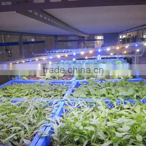 2016 MarsHydro Indoor Plant Led Grow Light Grow Bar Full Spectrum thumbnail-6