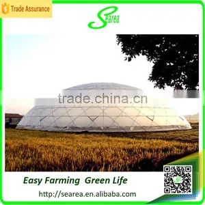Single Span Greenhouse for Vegetable Fruits Agricultural Greenhouses thumbnail-5