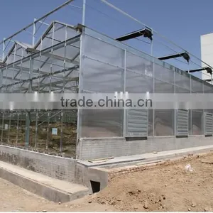 Commercial Flower Vegetable Polycarbonate Greenhouse thumbnail-1