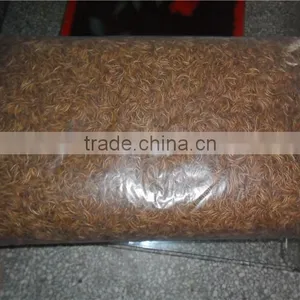 Eco-Friendly Dired Mealworms Wild Bird Feeding, Animal Feed Mealworm thumbnail-3