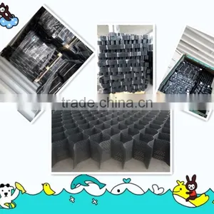 HOT!!!Earthwork Geocells Factory for the Riverbed,seabeach and Desert thumbnail-3