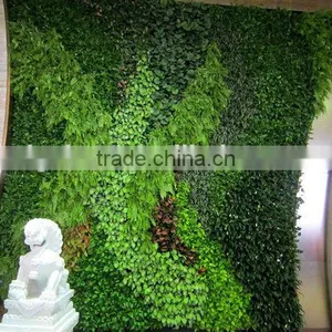 Fake Grass Wall China Factory House Use Artificial Living Wall thumbnail-1