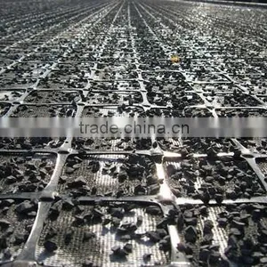 Plastic Geogrid for Soil Reinforcement thumbnail-6