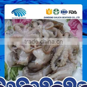 Hot Sale Cleaned Baby Octopus thumbnail-1