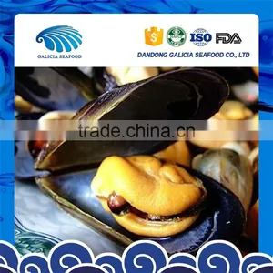 Iqf Frozen Cheap Blue Half Shell Mussels From Excellent Manufacturer thumbnail-1