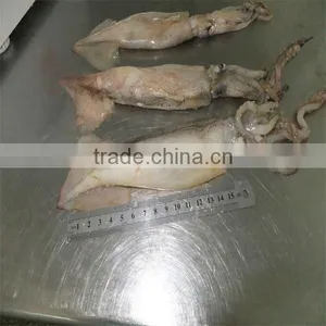 Frozen Squid Recipe thumbnail-1