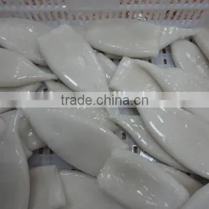 Frozen Tordarodes and Argentina Squid Tube thumbnail-3