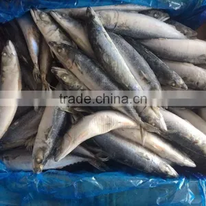 Best Price Frozen Mackerel Fish thumbnail-1