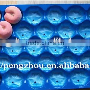 Disposable Plastic Fruit Liner thumbnail-1