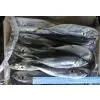 Sell Horse Mackerel (Peru) thumbnail-1