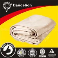 Canvas Drop Cloth thumbnail-1