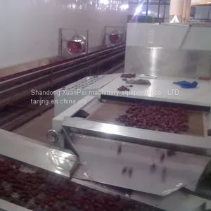 Seeds Microwave Drying Equipment thumbnail-1