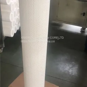 High Flow Rate Water Filter Pftm1-60u-Hfh13 thumbnail-5